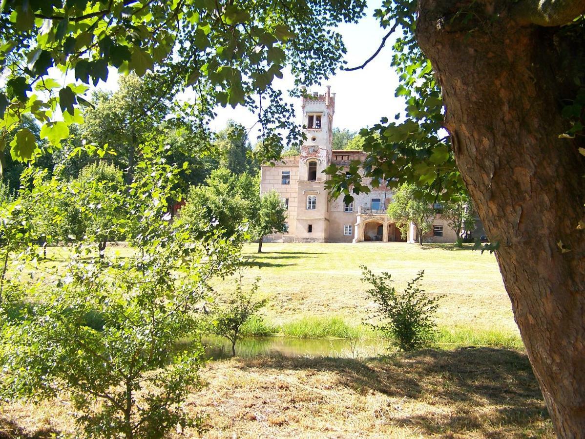 Palac Dabrowica Dabrowica  外观 照片