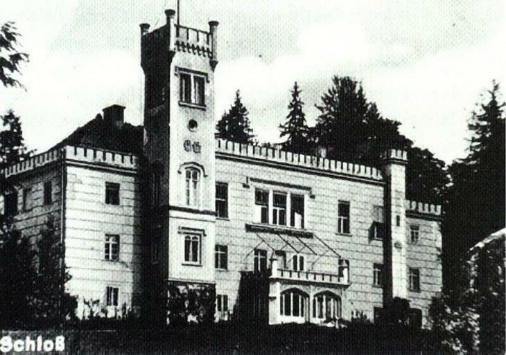 Palac Dabrowica Dabrowica  外观 照片